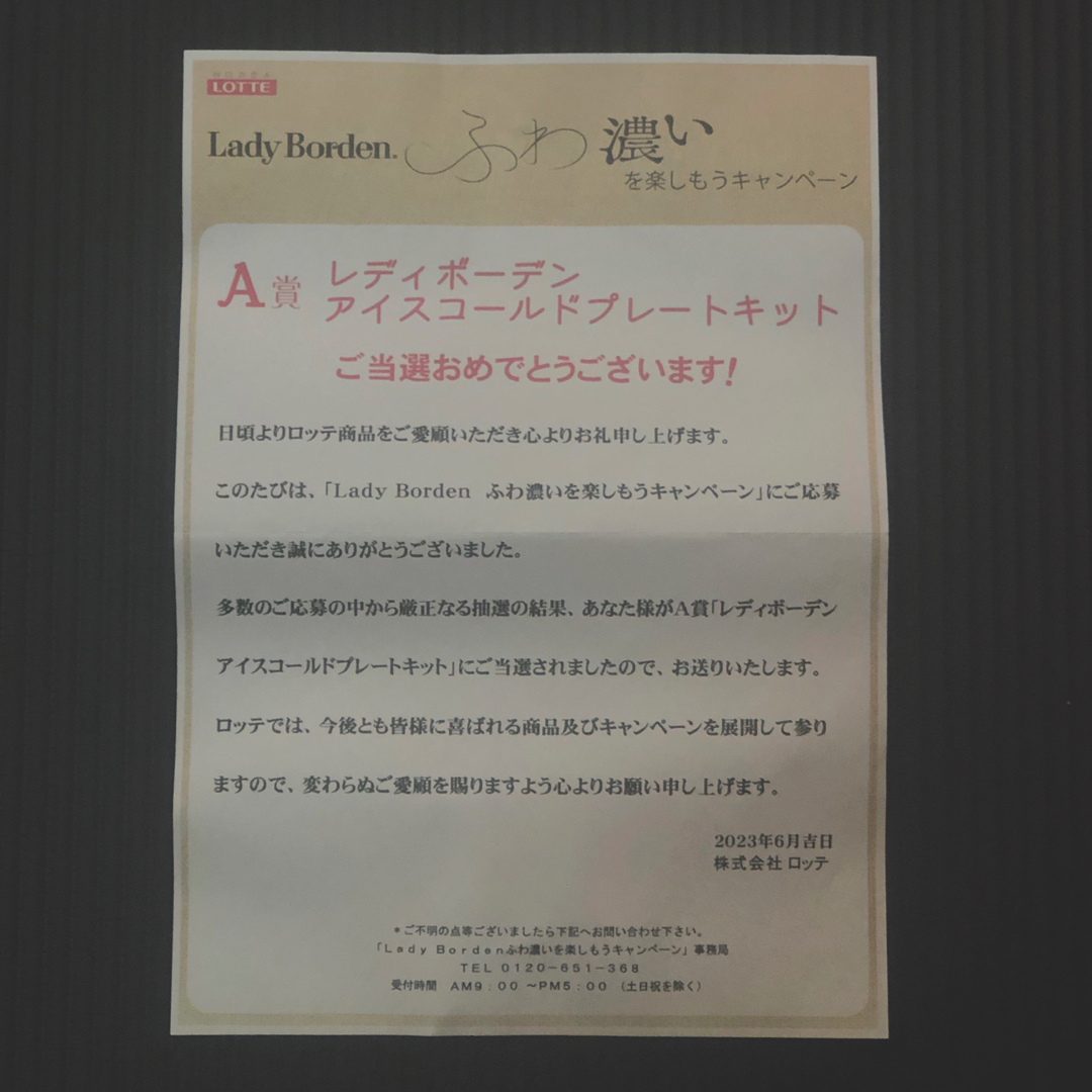 レディーボーデン　アイスコールドプレート インテリア/住まい/日用品のキッチン/食器(調理道具/製菓道具)の商品写真