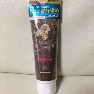 フラガール カラートリートメント ナチュラルブラウン(250g)(白髪染め)