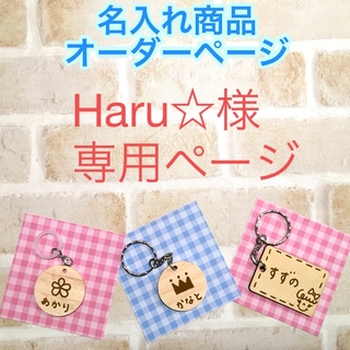 Haru☆様 専用ページ(その他)