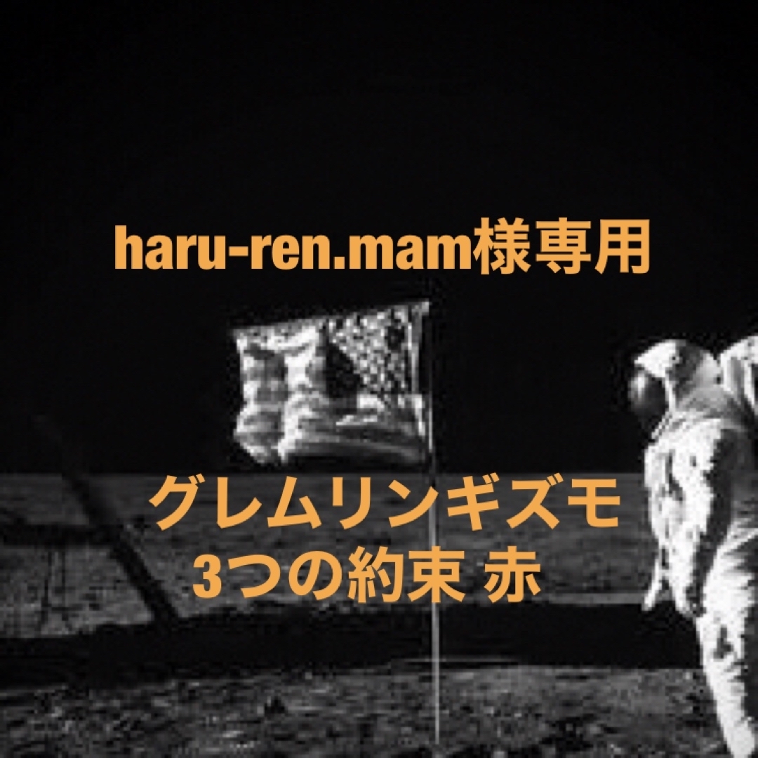 haru-ren.mam様専用 エンタメ/ホビーのエンタメ その他(その他)の商品写真