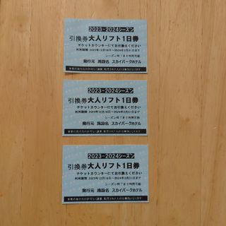 車山高原SKYPARKスキー場リフト１日券3枚セット【バラ売可】(スキー場)