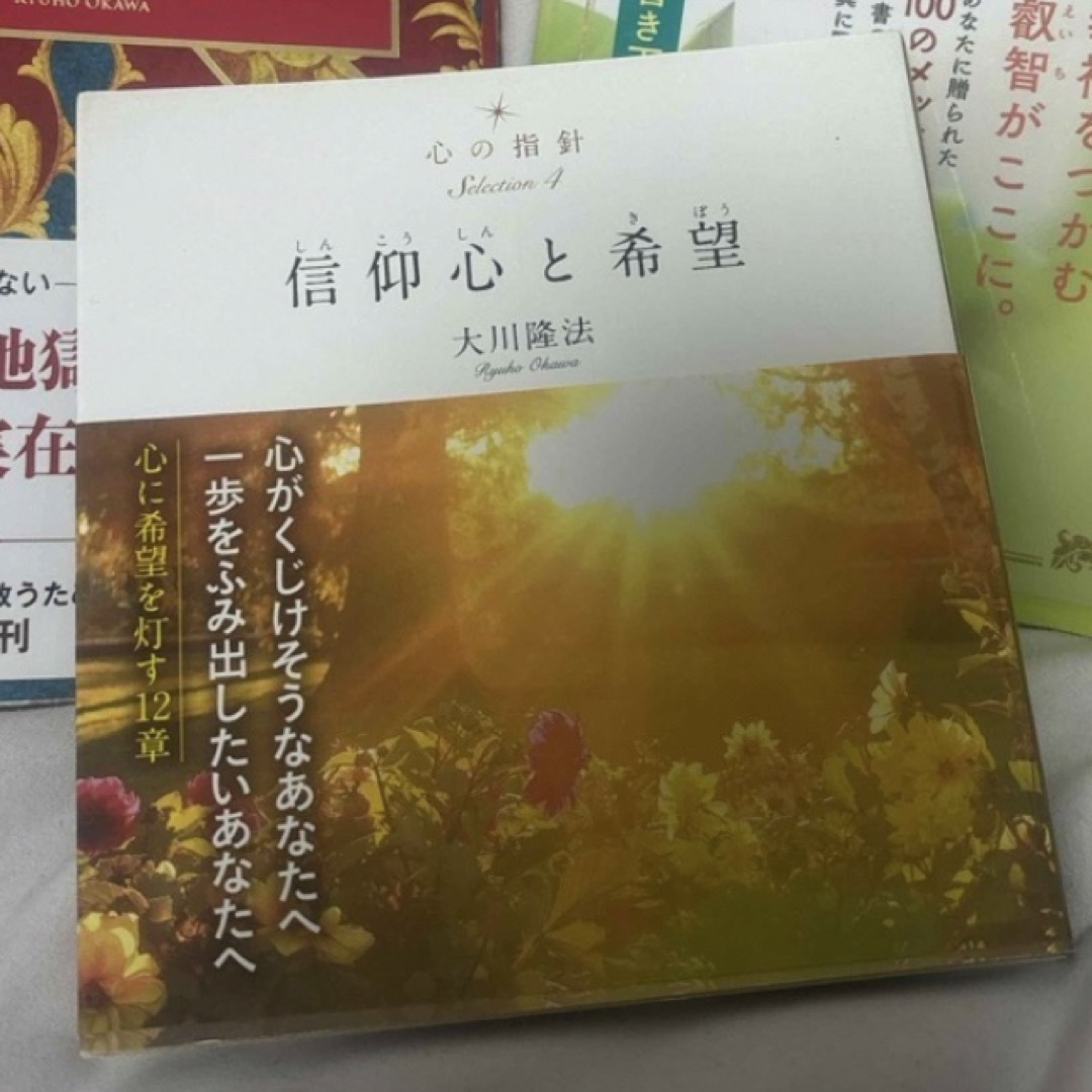 地獄の法　3冊セット エンタメ/ホビーの本(人文/社会)の商品写真