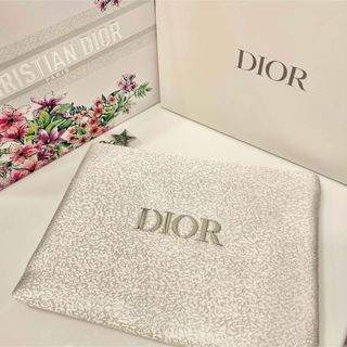 ディオール(Christian Dior) オリジナルス ポーチ(レディース)の通販