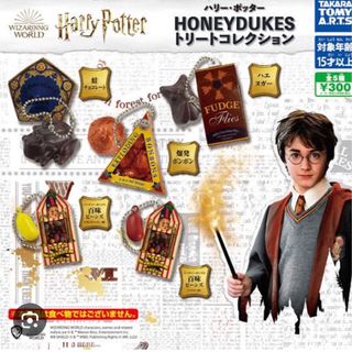 バンダイ(BANDAI)のハリーポッター HONEYDUKES トリートコレクション 爆発ボンボン(キャラクターグッズ)