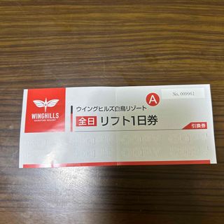 Hana様専用❗栂池高原スキー場の１日リフト券+ランチ1,000円分２枚