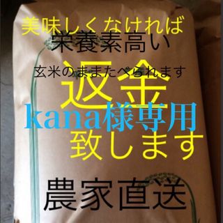 kana様専用　無農薬　純こしひかり10㎏ 5分精米(米/穀物)