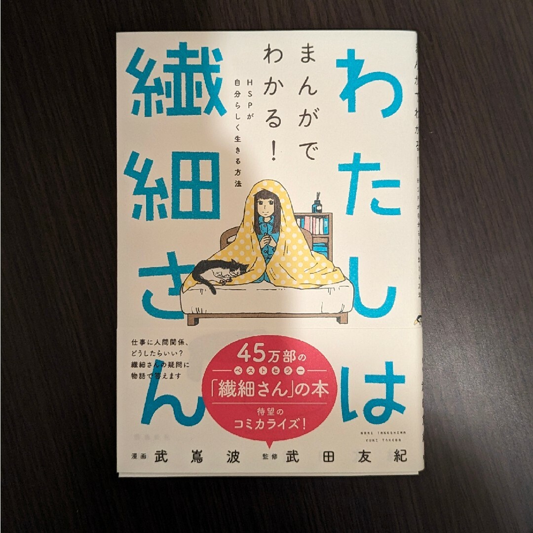 本◎わたしは繊細さん エンタメ/ホビーの本(文学/小説)の商品写真