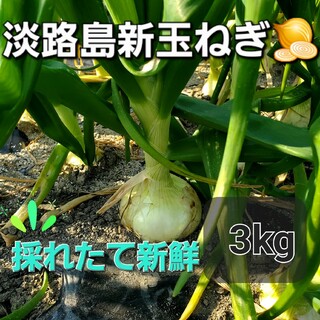 淡路島新玉ねぎ🧅極早生玉ねぎ3kg(野菜)