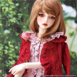 VOLKS - 新品　SDGr 女の子 Sophie ソフィー PINK HOUSE ドール  