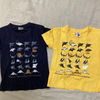 美ら海水族館　⭐︎Tシャツ　サイズ　110２枚セット(Tシャツ/カットソー)