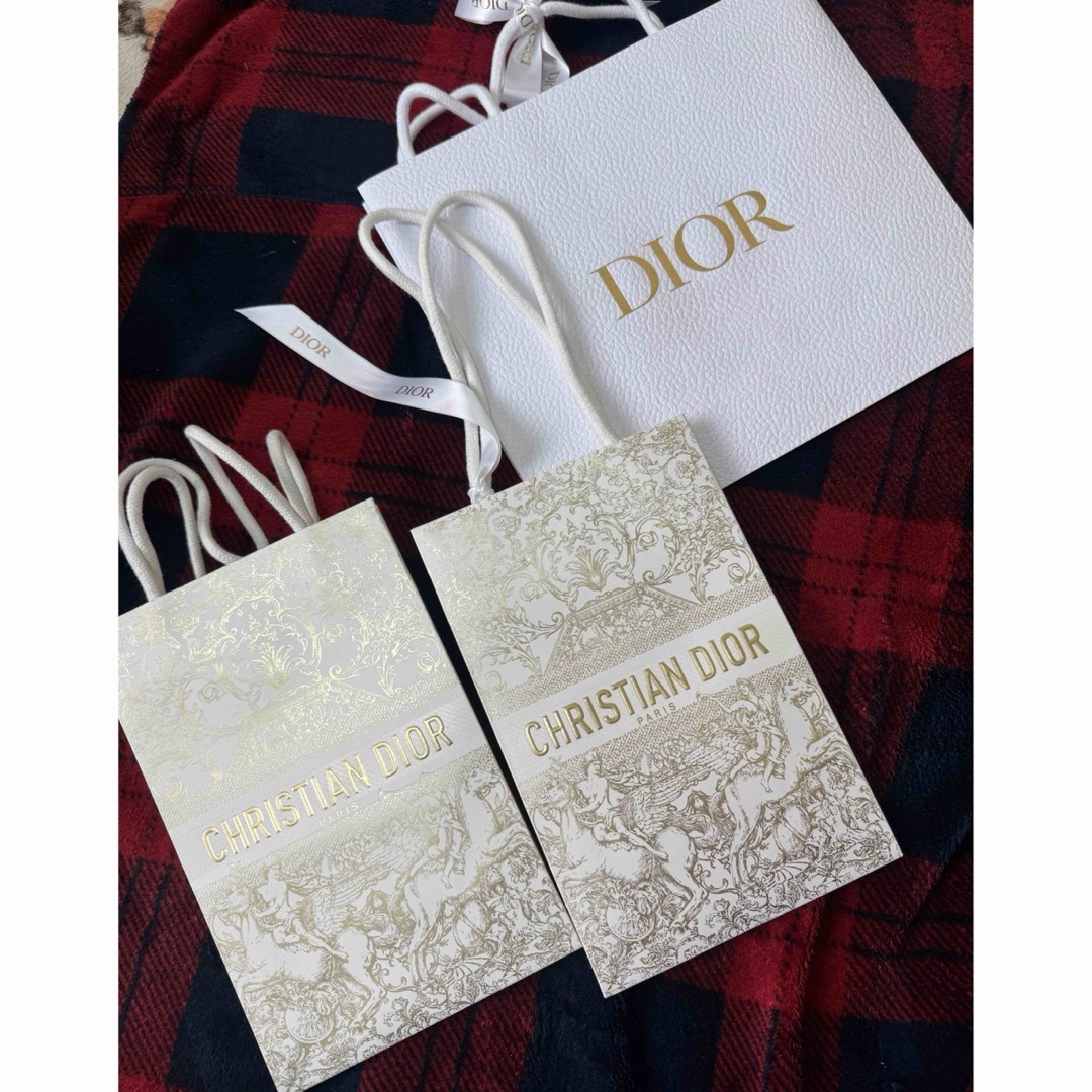 Dior(ディオール)のDIORショッパー　Diorショップ紙袋 レディースのバッグ(ショップ袋)の商品写真