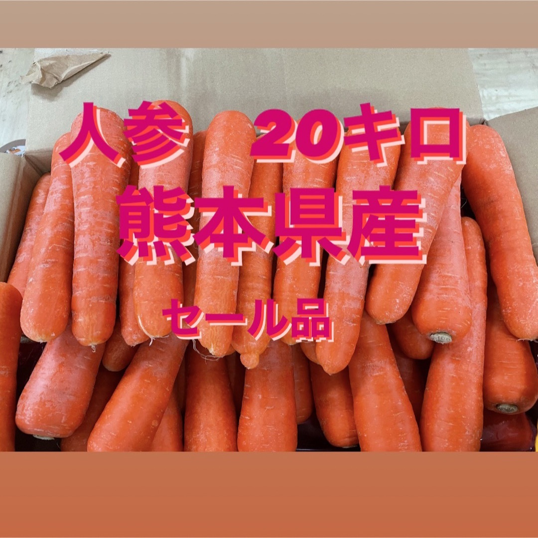 熊本　無農薬　人参　20キロ 食品/飲料/酒の食品(野菜)の商品写真