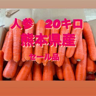 熊本　無農薬　人参　20キロ(野菜)