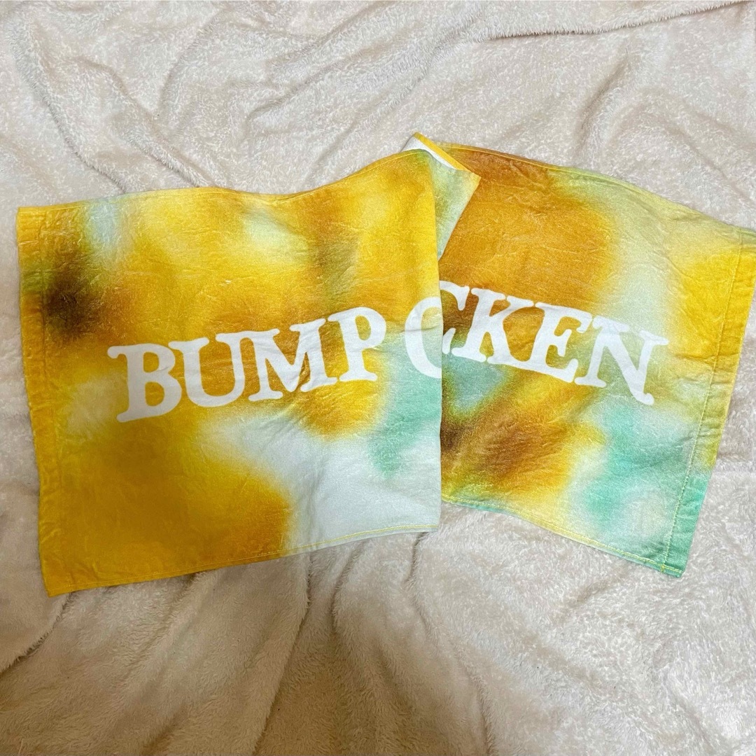 BUMP OF CHICKEN(バンプオブチキン)のBUMP OF CHICKEN パーカー&Tシャツ&タオル グッズまとめ売り エンタメ/ホビーのタレントグッズ(ミュージシャン)の商品写真