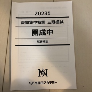 2023年度　夏期集中特訓　三冠模試　早稲田アカデミー　NN開成(語学/参考書)