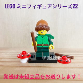 レゴ(Lego)のLEGO 森のこびと ミニフィギュアシリーズ22(その他)