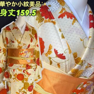 華やか艶あり小紋美品！クリーム色に華やかな菊とアラベスク　身丈159.5(着物)