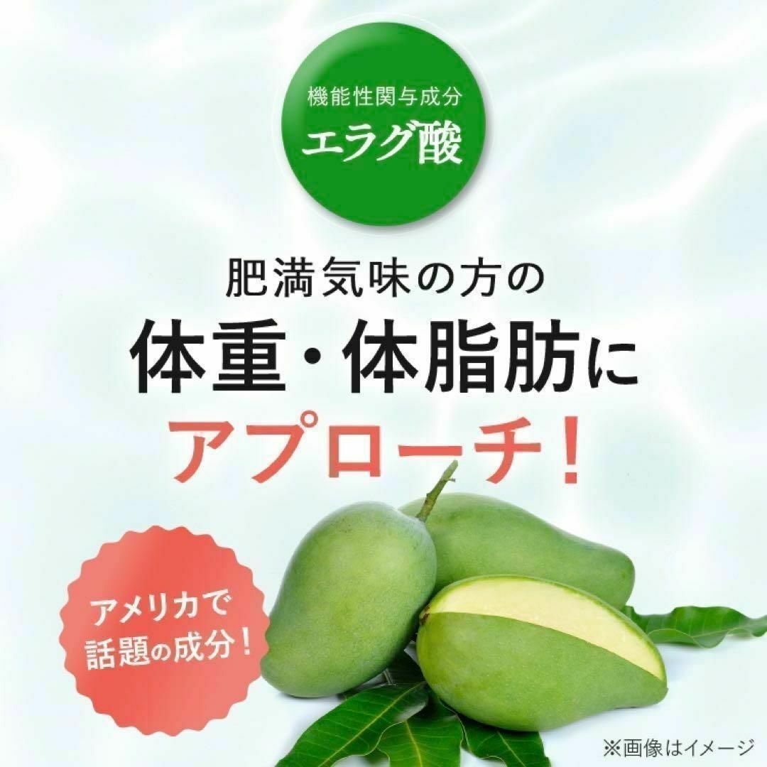 【新品・未開封】Wの健康青汁 1箱 31本 新日本製薬 生活改善 抹茶風味 食品/飲料/酒の健康食品(青汁/ケール加工食品)の商品写真