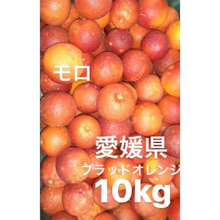 愛媛県産　ブラッドオレンジ　モロ　柑橘　10kg(フルーツ)