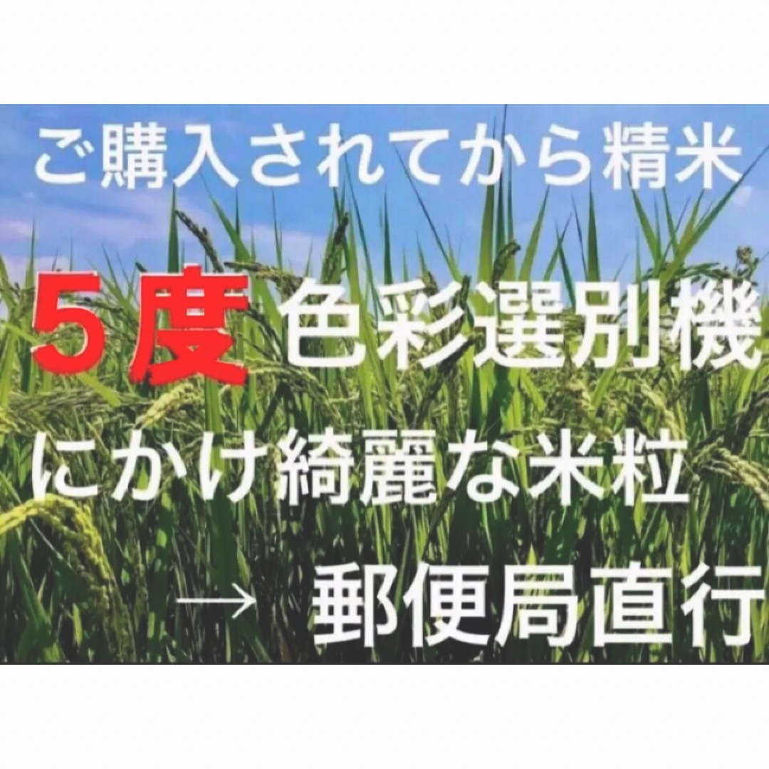 採れたて新米✳️令和５年産✳️５回色彩選別・有機肥料・送料無料ハツシモ５キロ 食品/飲料/酒の食品(米/穀物)の商品写真