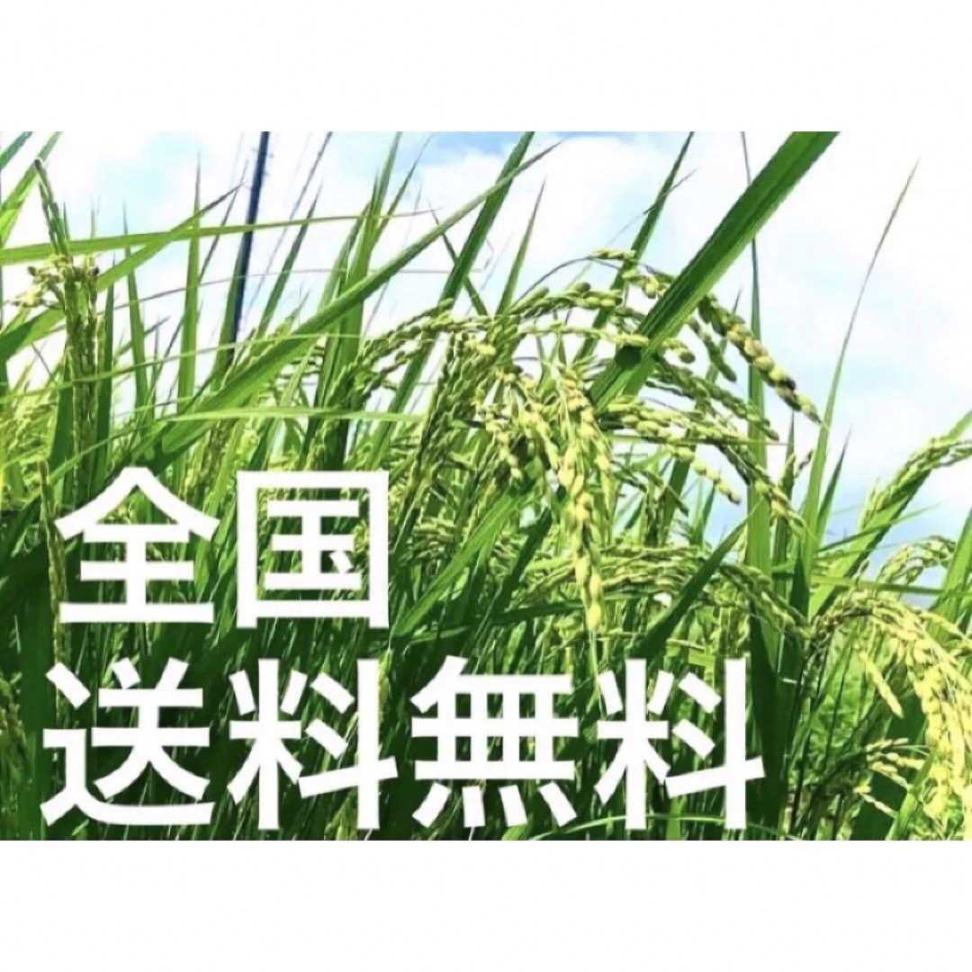 採れたて新米✳️令和５年産✳️５回色彩選別・有機肥料・送料無料ハツシモ５キロ 食品/飲料/酒の食品(米/穀物)の商品写真