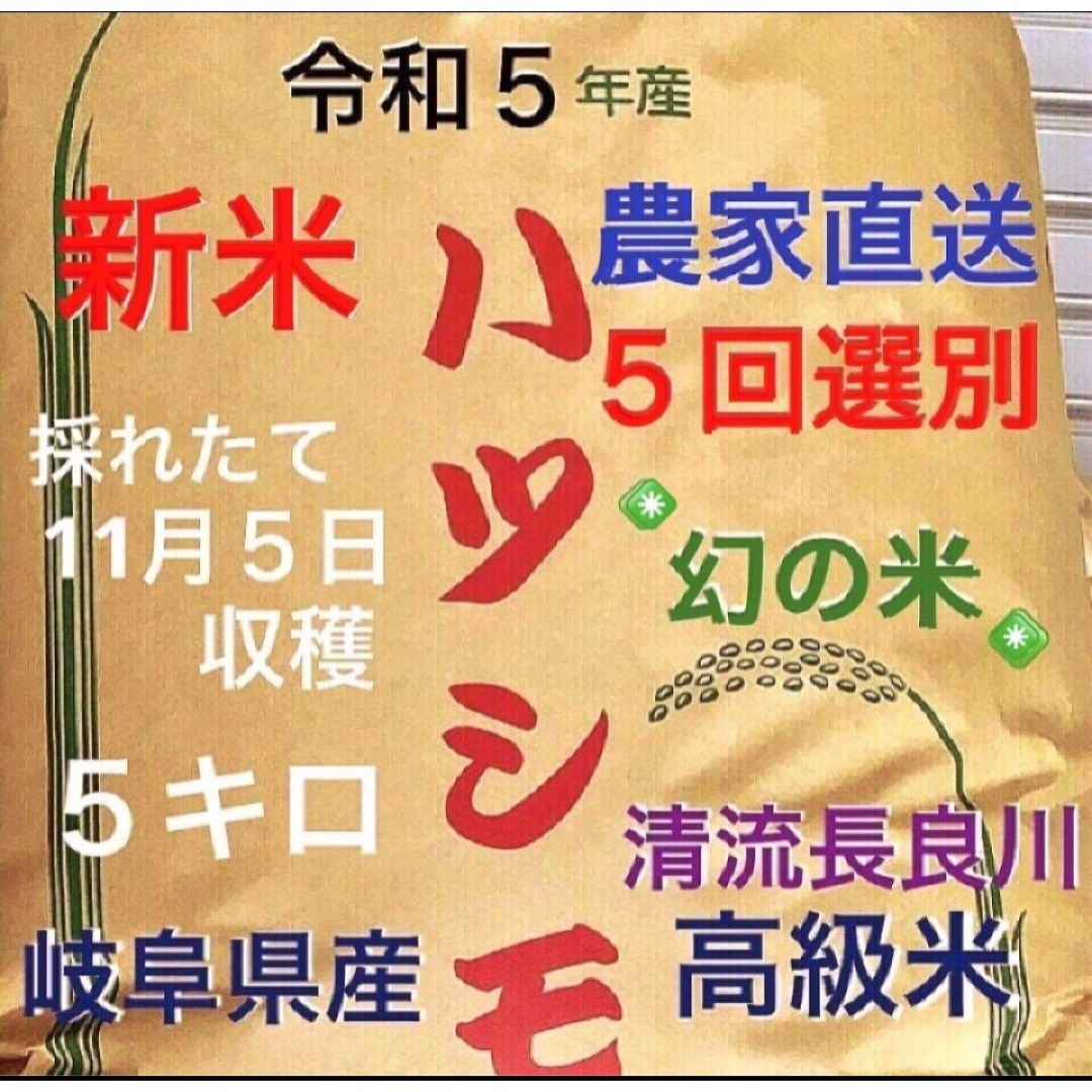 採れたて新米✳️令和５年産✳️５回色彩選別・有機肥料・送料無料ハツシモ５キロ 食品/飲料/酒の食品(米/穀物)の商品写真