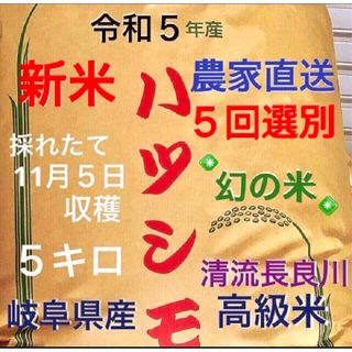 採れたて新米✳️令和５年産✳️５回色彩選別・有機肥料・送料無料ハツシモ５キロ(米/穀物)