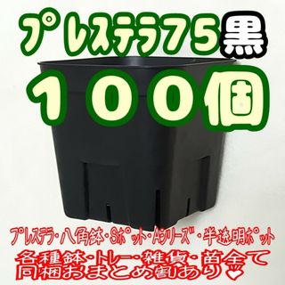 【スリット鉢】プレステラ75黒100個 多肉植物 プラ鉢 -ラクマパック-(プランター)