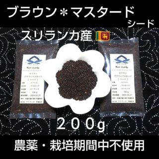 ♦スリランカ産♦小粒で力強い風味＋旨味がグッと❗ブラウンマスタードシード２００g(調味料)