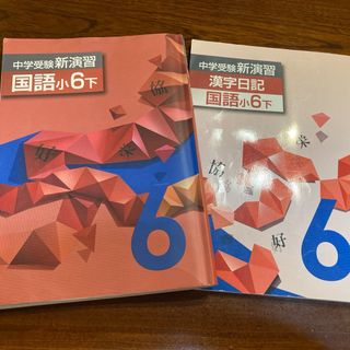 中学受験 新演習／漢字日記 国語小6下(語学/参考書)