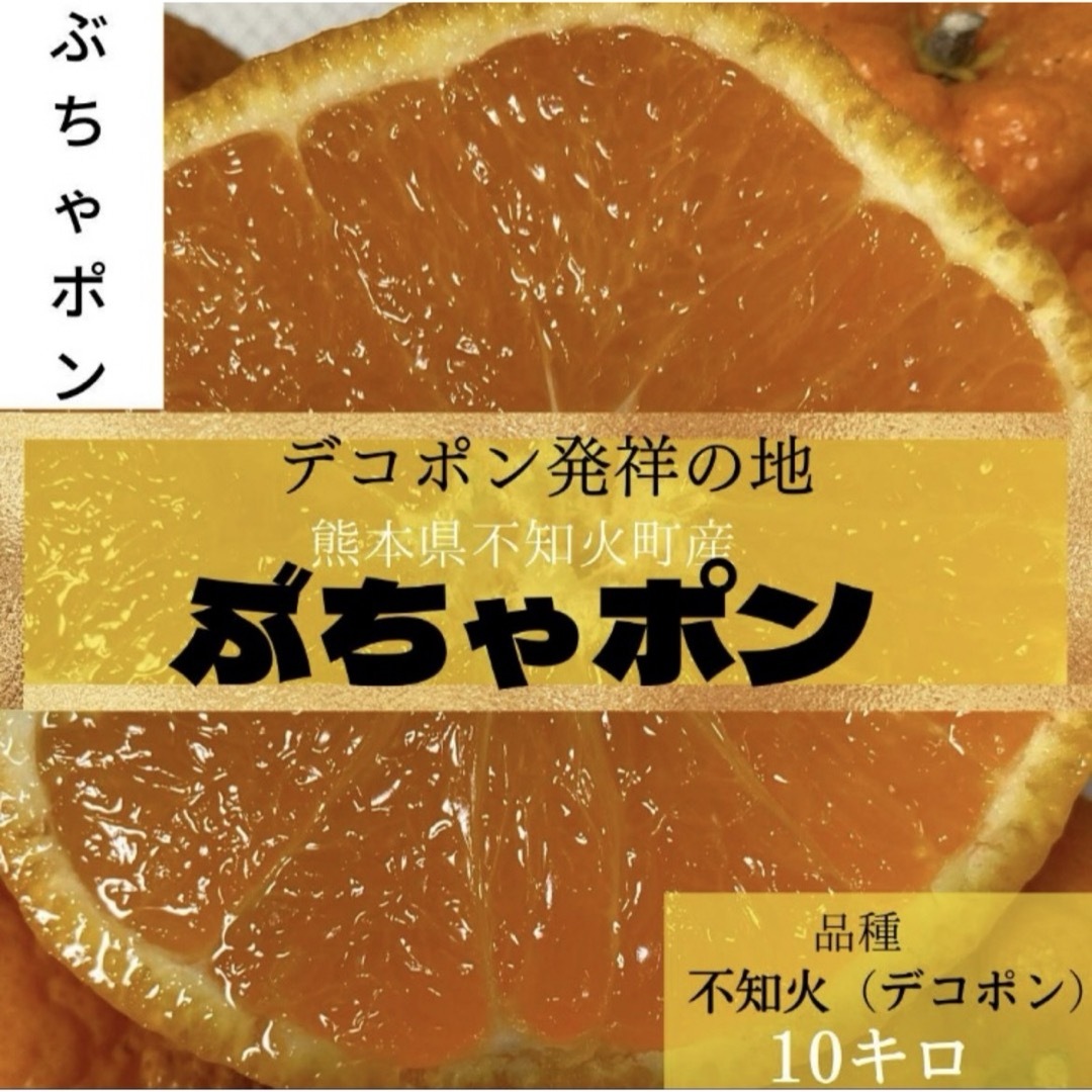 本領発揮！デコポン　発祥の地！熊本本場の不知火町 『ぶちゃポン』１０Kg みかん 食品/飲料/酒の食品(フルーツ)の商品写真