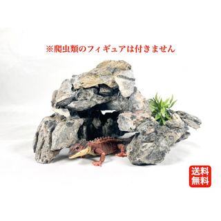 爬虫類用　本格派ロックシェルター(レオパ　ニシアフ)(爬虫類/両生類用品)