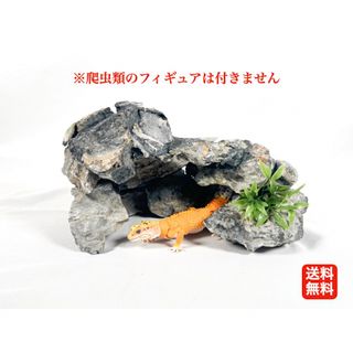 爬虫類用　本格派ロックシェルター(レオパ　ニシアフ)(爬虫類/両生類用品)