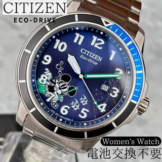 The CITIZEN 落水 Rakusui AQ4020-62Y 土佐和紙