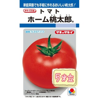 野菜の種【大玉トマト】ホーム桃太郎①(野菜)