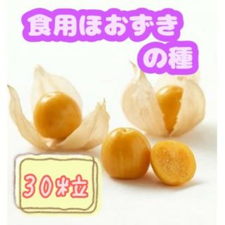 野菜の種 食用ほおずき①(野菜)