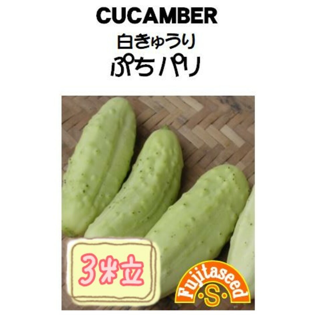 野菜の種【ミニきゅうり】ぷちパリ① 食品/飲料/酒の食品(野菜)の商品写真