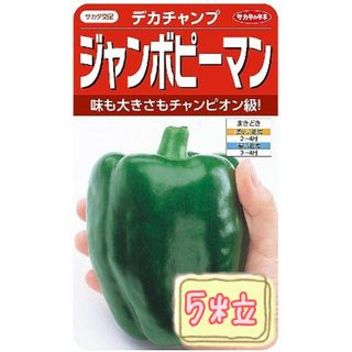 野菜の種【ピーマン】デカチャンプ①(野菜)