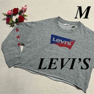 リーバイス(Levi's)のLEVI’S リーバイス　♡長袖Tシャツ　トレーナー　グレー系　ロゴ　M 即発送(Tシャツ(長袖/七分))