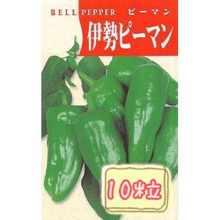 野菜の種【ピーマン】伊勢ピーマン①(野菜)