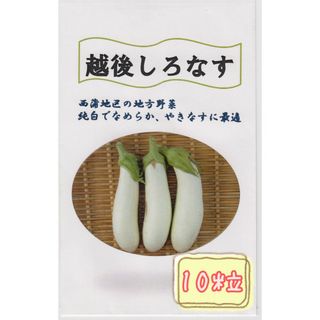 野菜の種【ナス】越後しろなす①(野菜)