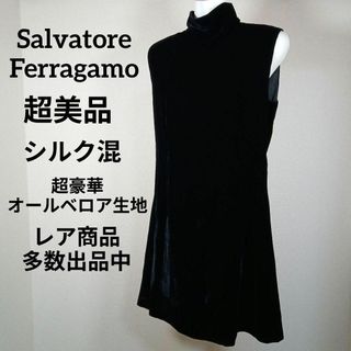 サルヴァトーレフェラガモ(Salvatore Ferragamo)のⅠ191超美品　サルヴァトーレフェラガモ　ワンピース　シルク混　豪華オールベロア(その他)