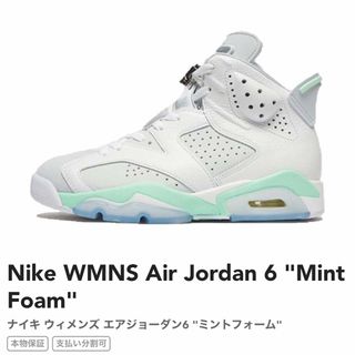 ジョーダン(Jordan Brand（NIKE）)のナイキ  DQ4914-103 Jordan 6 Mint  ミントフォーム(スニーカー)