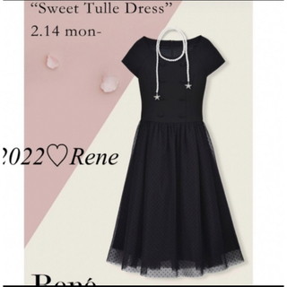 ルネ(René)のミズ　ダリア様専用　Rene2022  Sweet Tulle Dress 36(ロングワンピース/マキシワンピース)