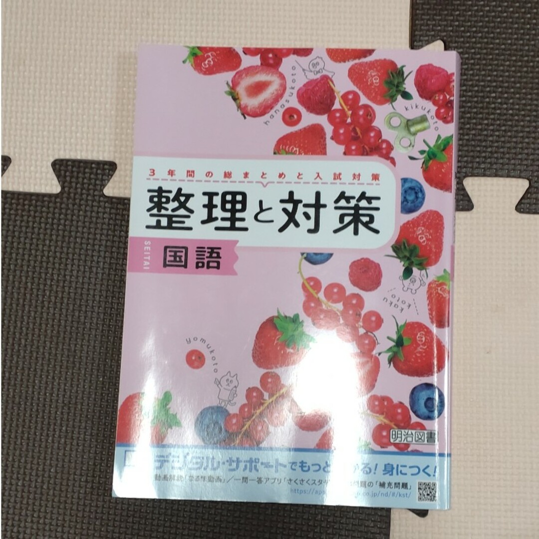 明治(メイジ)の整理と対策　国語 エンタメ/ホビーの本(語学/参考書)の商品写真