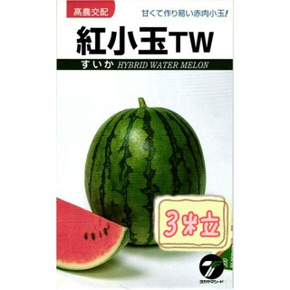 野菜の種【小玉スイカ】紅小玉TW①(フルーツ)