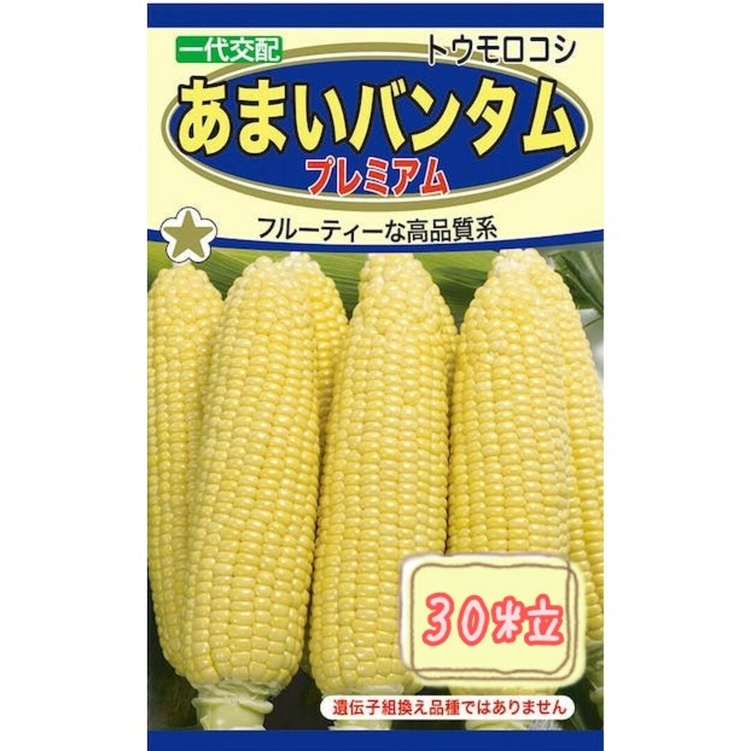 野菜の種【とうもろこし】プレミアム① 食品/飲料/酒の食品(野菜)の商品写真