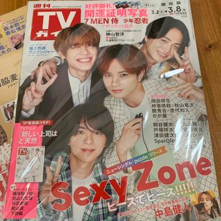 THE ICE 2022 公式パンフレット(トートバッグ付き)の通販 by ちー