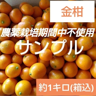 18 農薬栽培期間中不使用 金柑 キンカン 約1キロ(フルーツ)