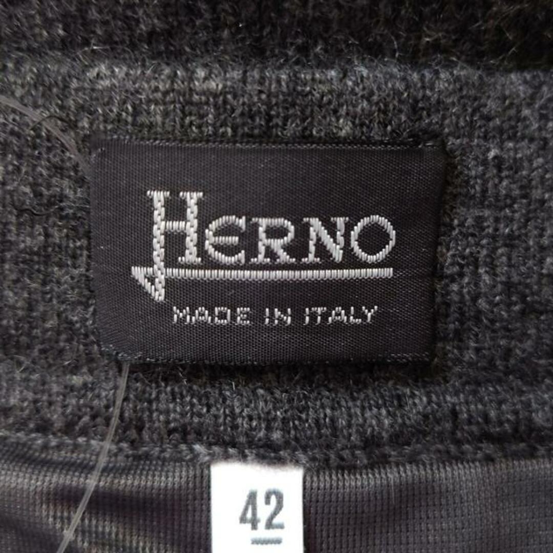 HERNO(ヘルノ)のHERNO(ヘルノ) ロングスカート サイズ42 M レディース - ダークグレー ニット レディースのスカート(ロングスカート)の商品写真